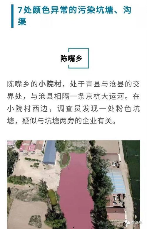 天津爆料配餐事件原视频,揭露食品安全背后的真相  第3张